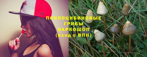 MDMA Богданович