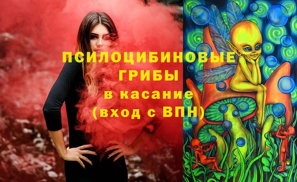 Альфа ПВП Богородицк