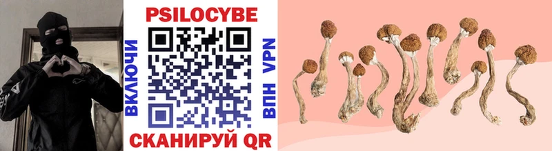 Купить закладки  Гороховец  Псилоцибиновые грибы Psilocybine cubensis 