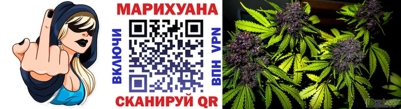 Купить где  Гороховец  Бошки марихуана SATIVA & INDICA 